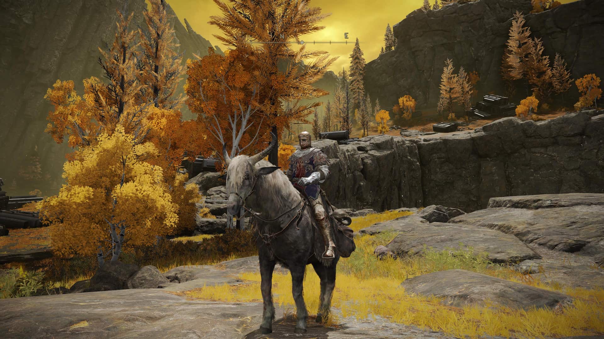 Elden Ring ganha Modo Foto no PC e agora nunca mais vou jogar outro jogo
