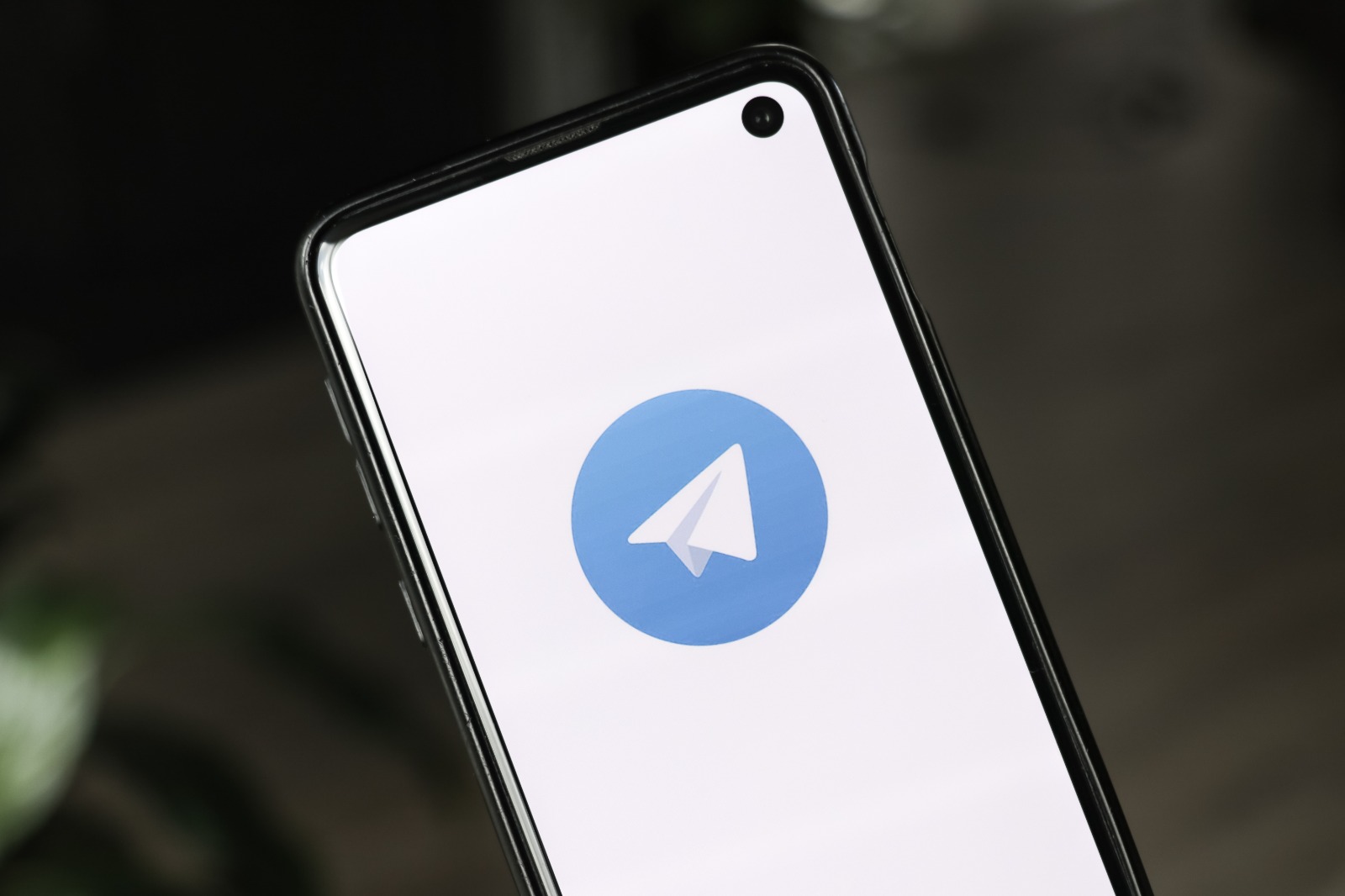 Telegram Stories não estão mais limitados a usuários pagos